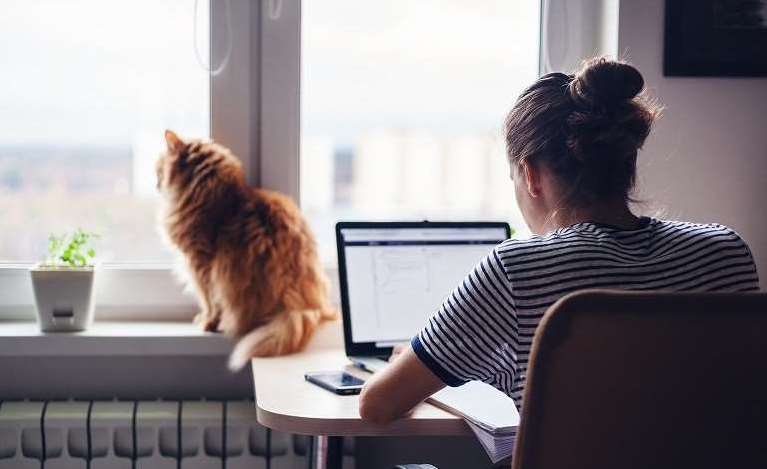 Trabalho remoto em escritório doméstico